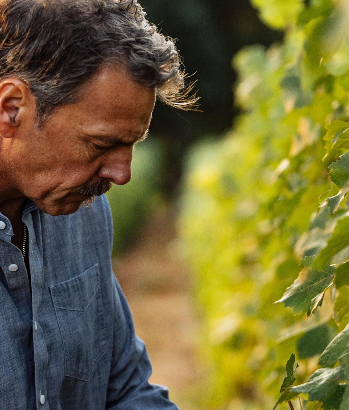 Winemaker Chris Carpenter looking down at vine.