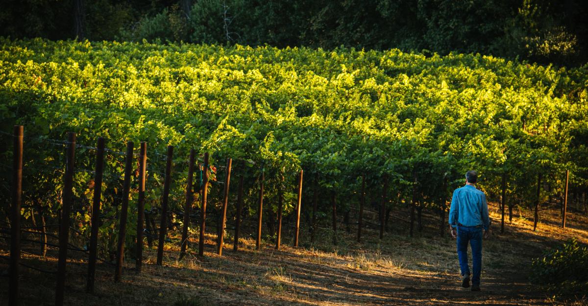 Winemaker Chris Carpenter walking toward vineyard